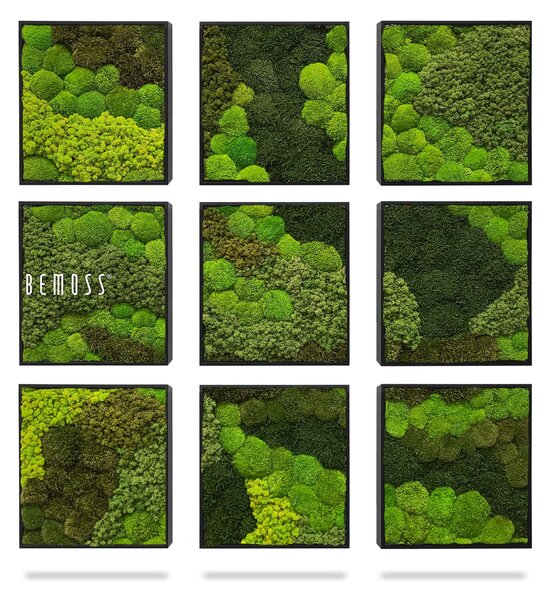 Machový set obrazov BEMOSS® ORTHO VERDIA Mosaic - 9ks 40 x 40 cm