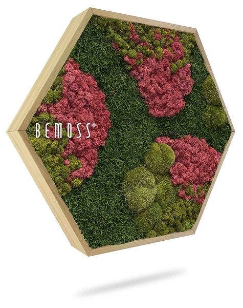 Machový Hexagon BEMOSS® ORTHO BURGUNDY - Priemer 30 cm (v najširšom mieste šesťuholníka)