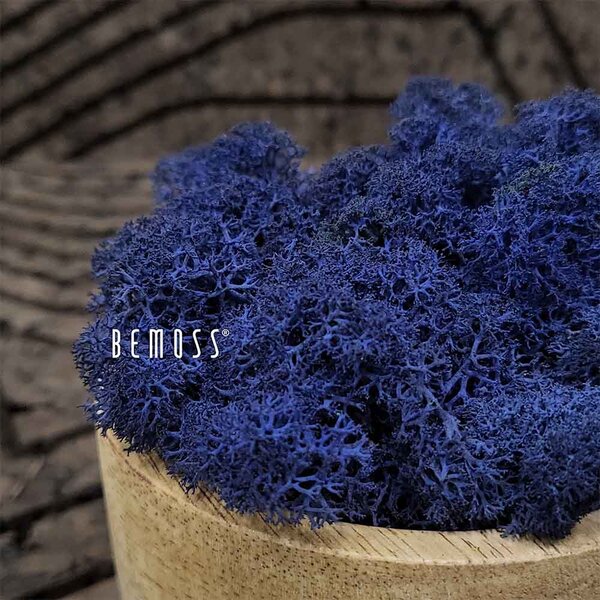 Stabilizovaný mach Lišajník CLASSIC BLUE - 1000g