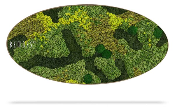 Machový obraz Elipsa BEMOSS® ORTHO MEDIUM - 50 x 100 cm