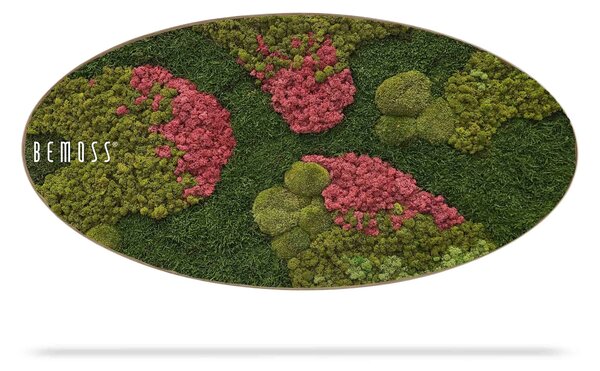 Machový obraz Elipsa BEMOSS® ORTHO BURGUNDY - 50 x 100 cm