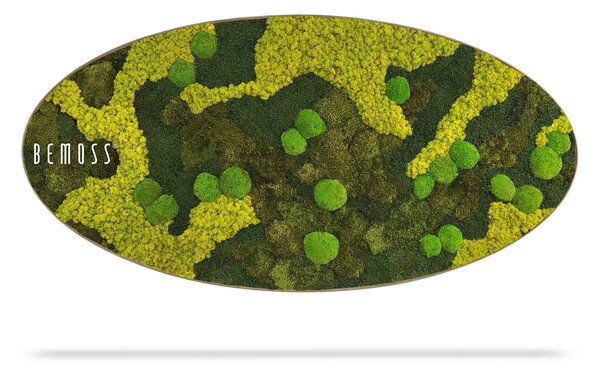 Machový obraz Elipsa BEMOSS® ORTHO BORJA mono - 50 x 100 cm