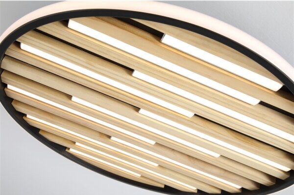 Searchlight 80980-49BK - LED Stmievateľné stropné svietidlo EQUALISE LED/33W/230V