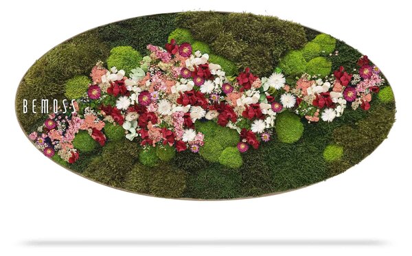 Machový obraz Elipsa RASTLINY Acebo PINK - 50 x 100 cm