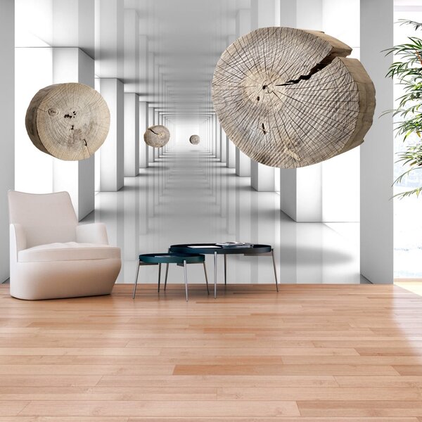 Fototapeta drevená chodba - Inventive Corridor