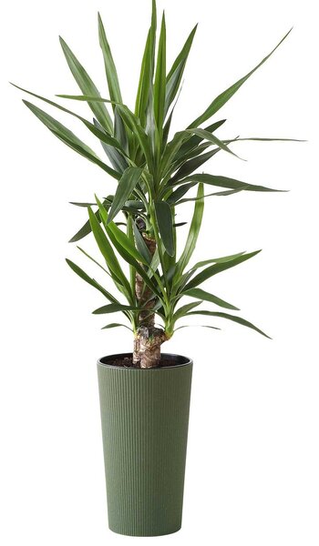 PLASTOVÝ KVETINÁČ URBANIKA ECO 46X25 CM ZELENÁ