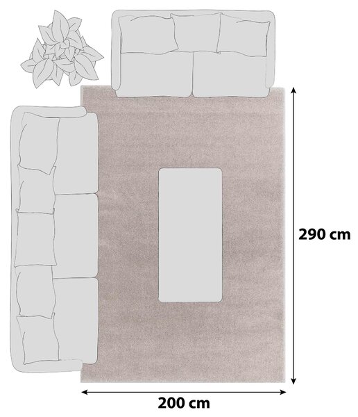 KOBEREC S VYSOKÝM VLASOM, 200/290 cm, béžová Schöner Wohnen - Koberce
