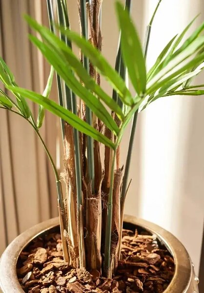 Umelá palma Kentia 270 cm