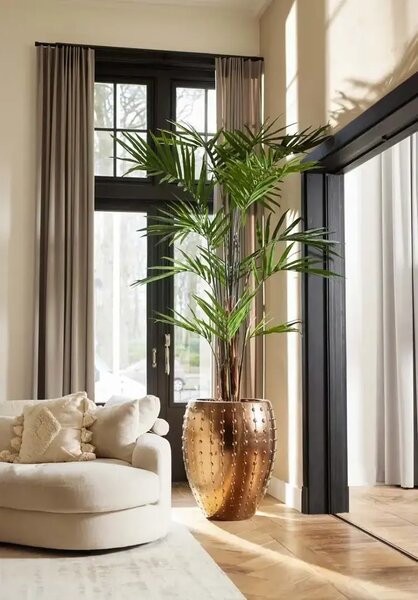 Umelá palma Kentia 270 cm