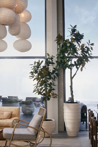 Umelý strom Magnolia Denudata 180 cm - elegantná dekorácia