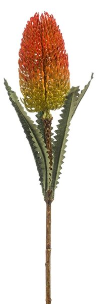 Umelá vetva Banksia 72 cm oranžová - farebná dekorácia - Oranžová - 71 - 90 cm