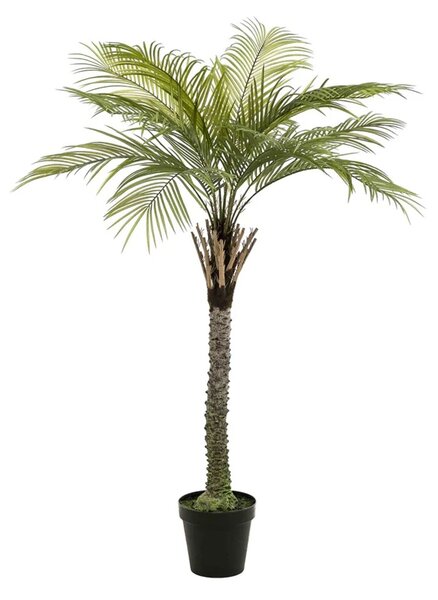 Umelá palma 260 cm - 231 - 260 cm