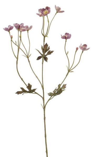 Umelá ranuncula suchého vzhľadu lila 63 cm – elegantná dekorácia - Růžová - 51 - 70 cm