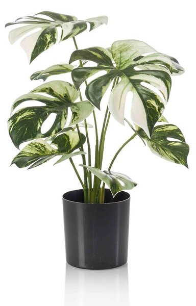 Umelý ker monstera 40 cm v kvetináči – tropická dekorácia - 31 - 50 cm