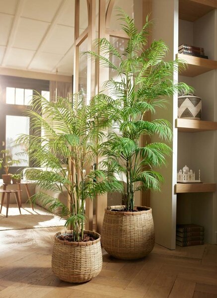 Umelá palma Areka 120 cm – exotická dekorácia