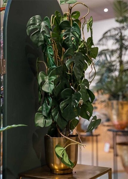 Umelá monstera 75 cm v kvetináči – realistická dekorácia - 71 - 90 cm