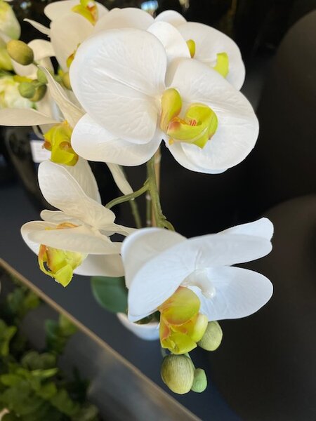 Umelá biela orchidea 65 cm v bielej váze – elegantná dekorácia - Biela - 51 - 70 cm