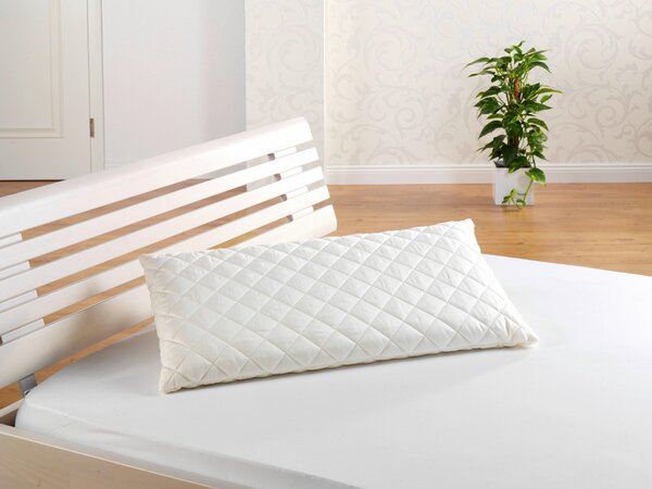 ŠIJOVÝ VANKÚŠ 40/80 cm FAN - Online Only spálne, Online Only