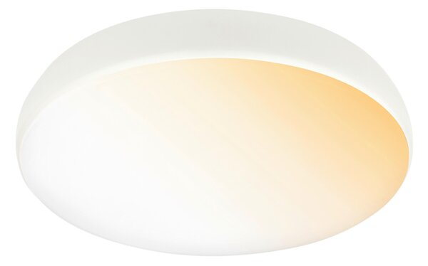 STROPNÉ LED SVIETIDLO, 35/8.5 cm - Interiérové svietidlá