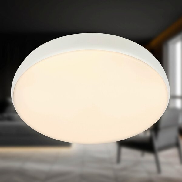 STROPNÉ LED SVIETIDLO, 35/8.5 cm - Interiérové svietidlá