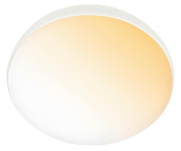 STROPNÉ LED SVIETIDLO, 35/8.5 cm - Interiérové svietidlá