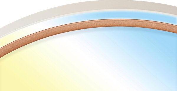 STROPNÉ LED SVIETIDLO, 49,5/6,5 cm - Interiérové svietidlá
