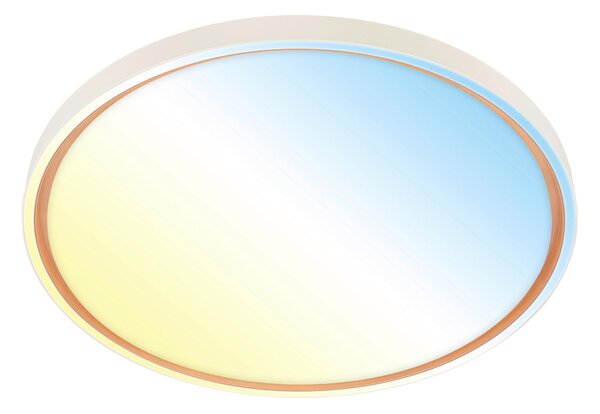 STROPNÉ LED SVIETIDLO, 49,5/6,5 cm - Interiérové svietidlá