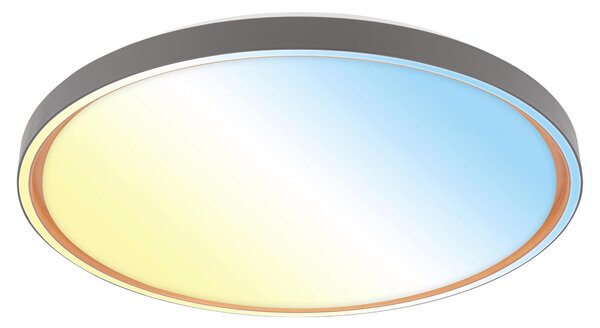 STROPNÉ LED SVIETIDLO, 49.5/6,5 cm - Interiérové svietidlá