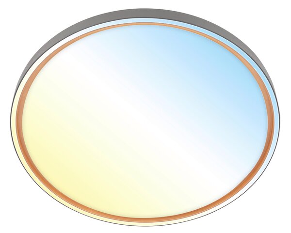 STROPNÉ LED SVIETIDLO, 49.5/6,5 cm - Interiérové svietidlá