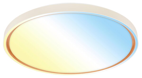 STROPNÉ LED SVIETIDLO, 49,5/6,5 cm - Interiérové svietidlá