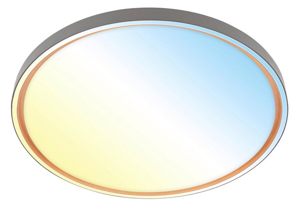 STROPNÉ LED SVIETIDLO, 49.5/6,5 cm - Interiérové svietidlá