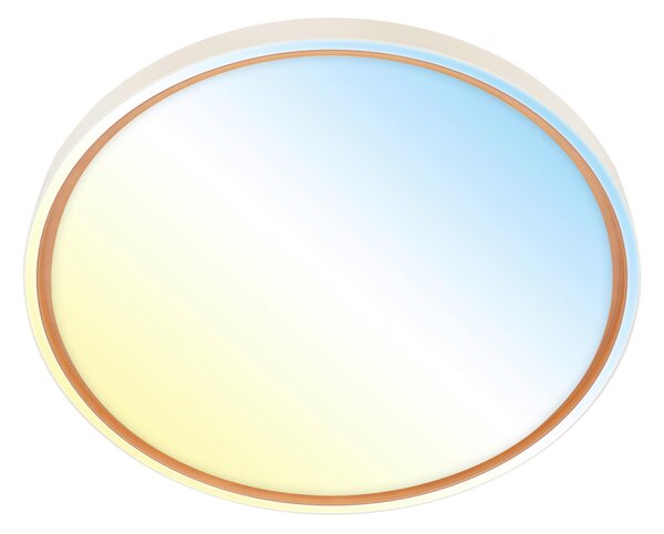 STROPNÉ LED SVIETIDLO, 49,5/6,5 cm - Interiérové svietidlá