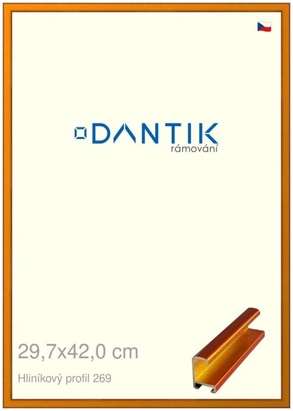 DANTIK rám na obraz 29,7x42 | ALU Oranžová Citrin broušená (Plexi Čiré)