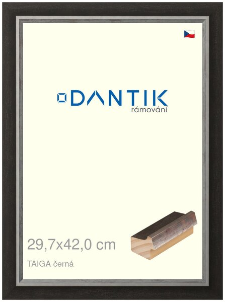 DANTIK rám na obraz 29,7x42 | TAIGA černá (Plexi Čiré)