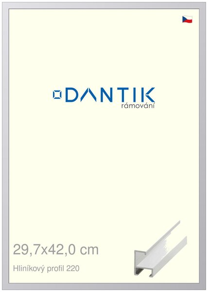 DANTIK rám na obraz 29,7x42 | ALU Bílá matná (Plexi Čiré)