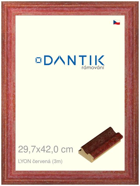 DANTIK rám na obraz 29,7x42 | LYON červená (Plexi Čiré)