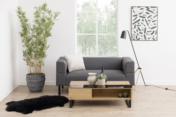 KONFERENČNÝ STOLÍK, čierna, farba duba, kov, sklo, kompozitné drevo, 110/60/35 cm Livetastic - Stolíky do obývačky, Online Only