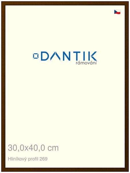 DANTIK rám na obraz 30x40 | ALU Hnědá umbra broušená (Plexi Čiré)