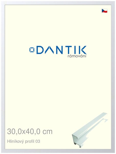 DANTIK rám na obraz 30x40 | ALU Bílá matná (Plexi Čiré)