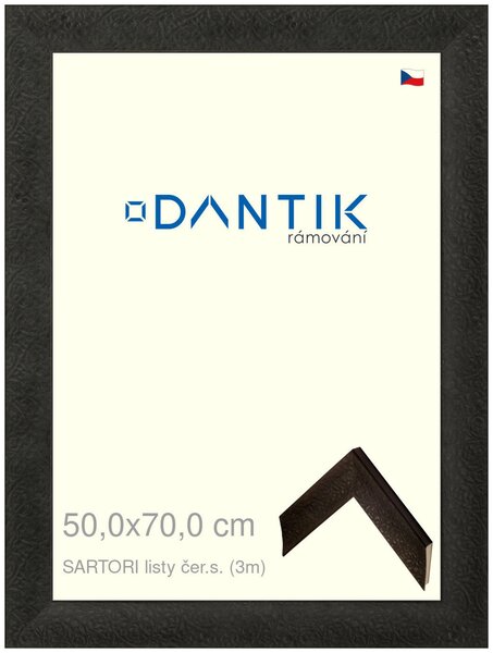 DANTIK rám na obraz 50x70 | SARTORI listy čer.s. (Plexi Čiré)