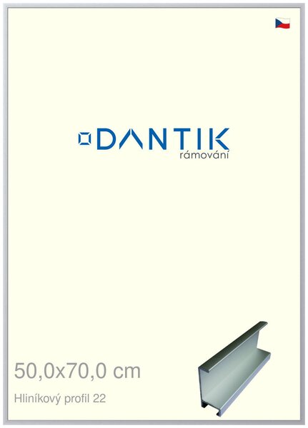 DANTIK rám na obraz 50x70 | ALU Stříbrná matná (Plexi Čiré)