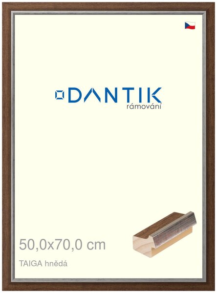 DANTIK rám na obraz 50x70 | TAIGA hnědá (Plexi Čiré)