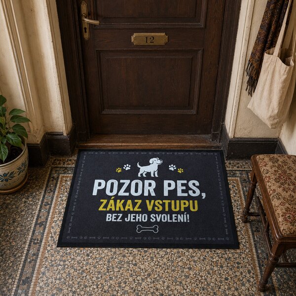 Mercury Flooring, Rohožka so psím povolením 40x60 cm - na von aj na doma, 40x60, šedá