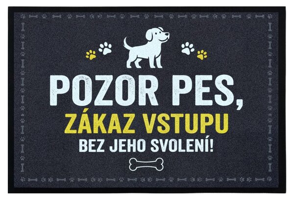 Mercury Flooring, Rohožka so psím povolením 40x60 cm - na von aj na doma, 40x60, šedá