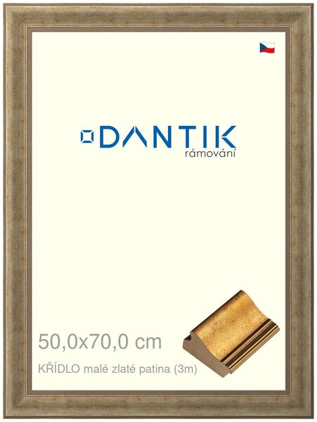 DANTIK rám na obraz 50x70 | KŘÍDLO malé zlaté patina (Plexi Čiré)