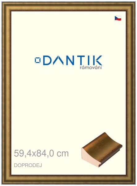 DANTIK rám na obraz 59,4x84 | Doprodej | METAL AU prohlá velká (Plexi Čiré)