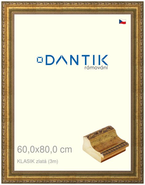 DANTIK rám na obraz 60x80 | KLASIK zlatá (Plexi Čiré)