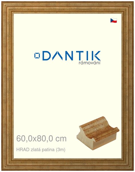 DANTIK rám na obraz 60x80 | HRAD zlatá patina (Plexi Čiré)