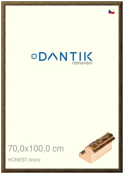 DANTIK rám na obraz 70x100 | HONEST malá vysoká bronz (Plexi Čiré)