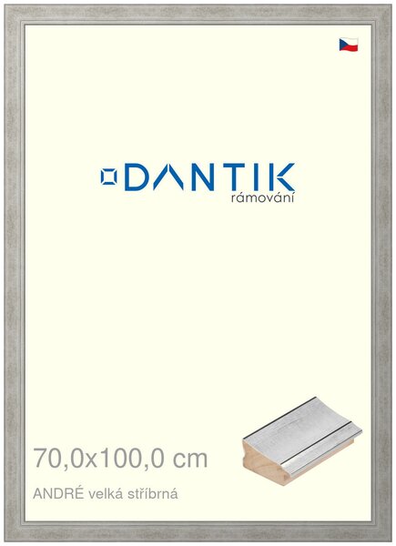 DANTIK rám na obraz 70x100 | ANDRÉ velká stříbrná (Plexi Čiré)